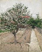 Gustave Caillebotte Apple Tree in Bloom oil on canvas